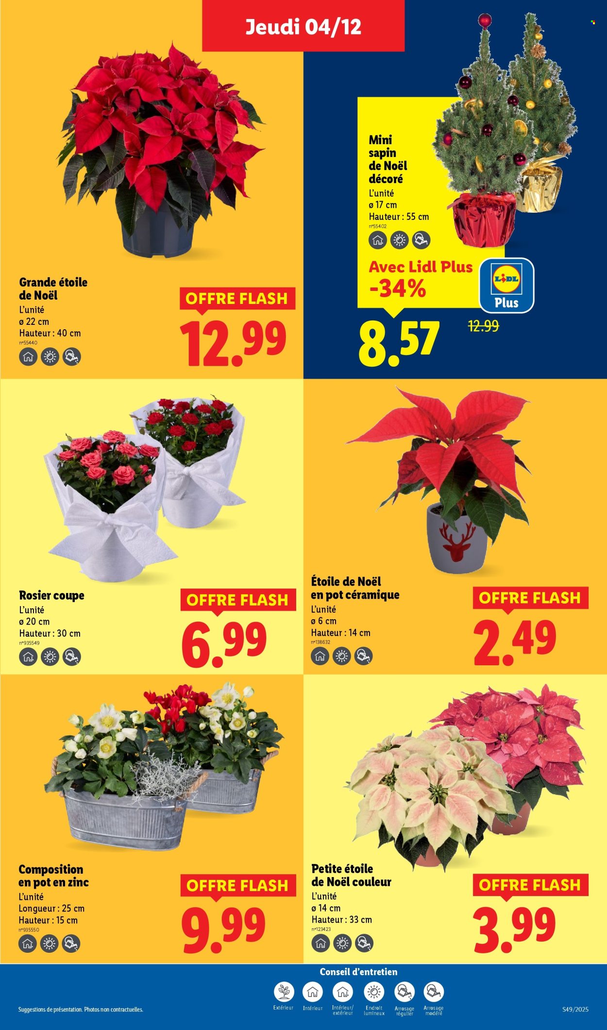 Catalogue Lidl - 04/12/2025 - 10/12/2025. Page 43