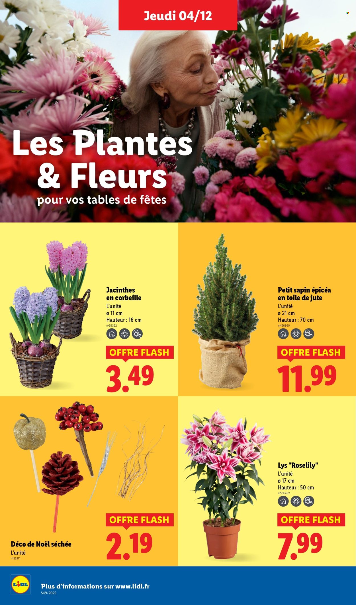 Catalogue Lidl - 04/12/2025 - 10/12/2025. Page 42