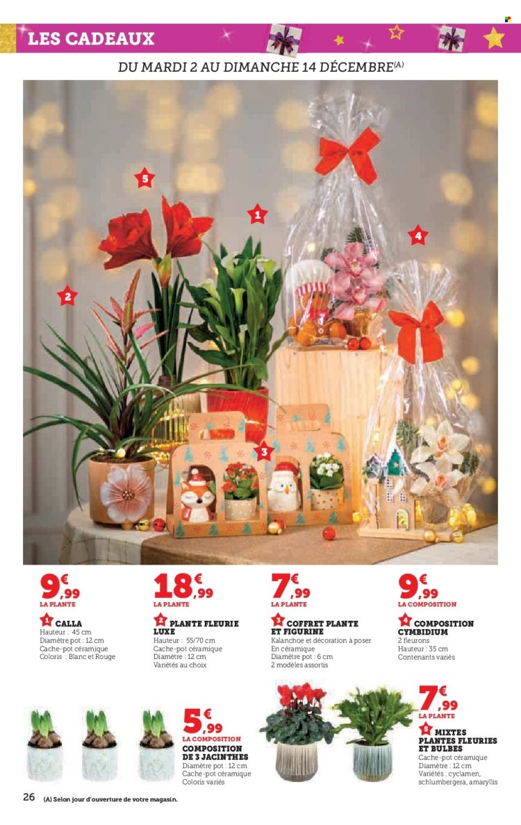 Catalogue SUPER U - 02/12/2025 - 24/12/2025. Page 26