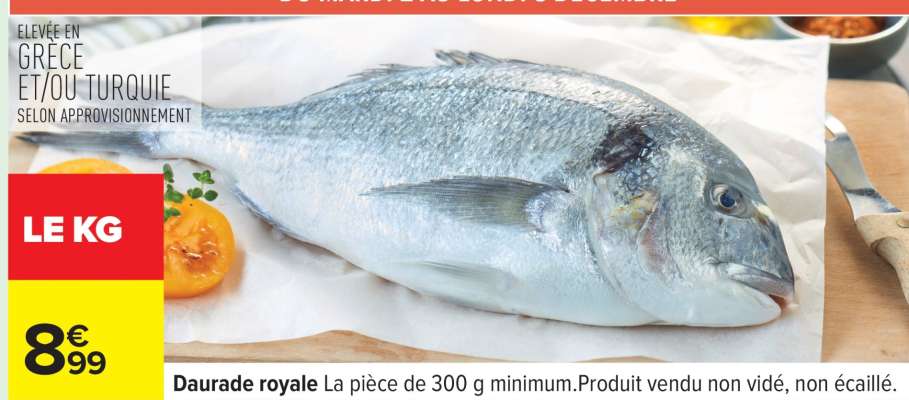 Daurade royale