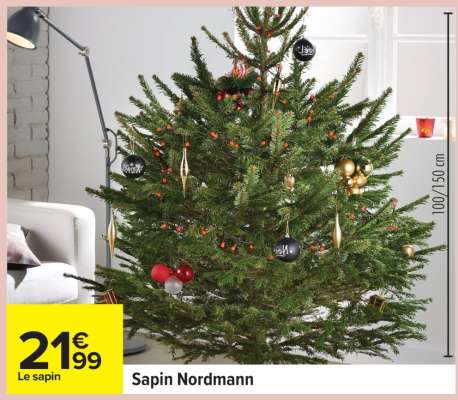 Sapin Nordmann