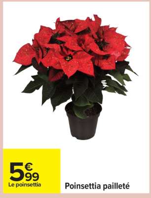 Poinsettia pailleté