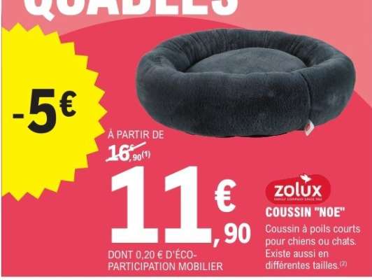 COUSSIN "NOE"