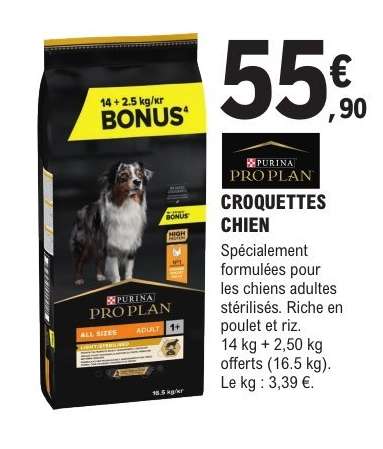 CROQUETTES CHIEN