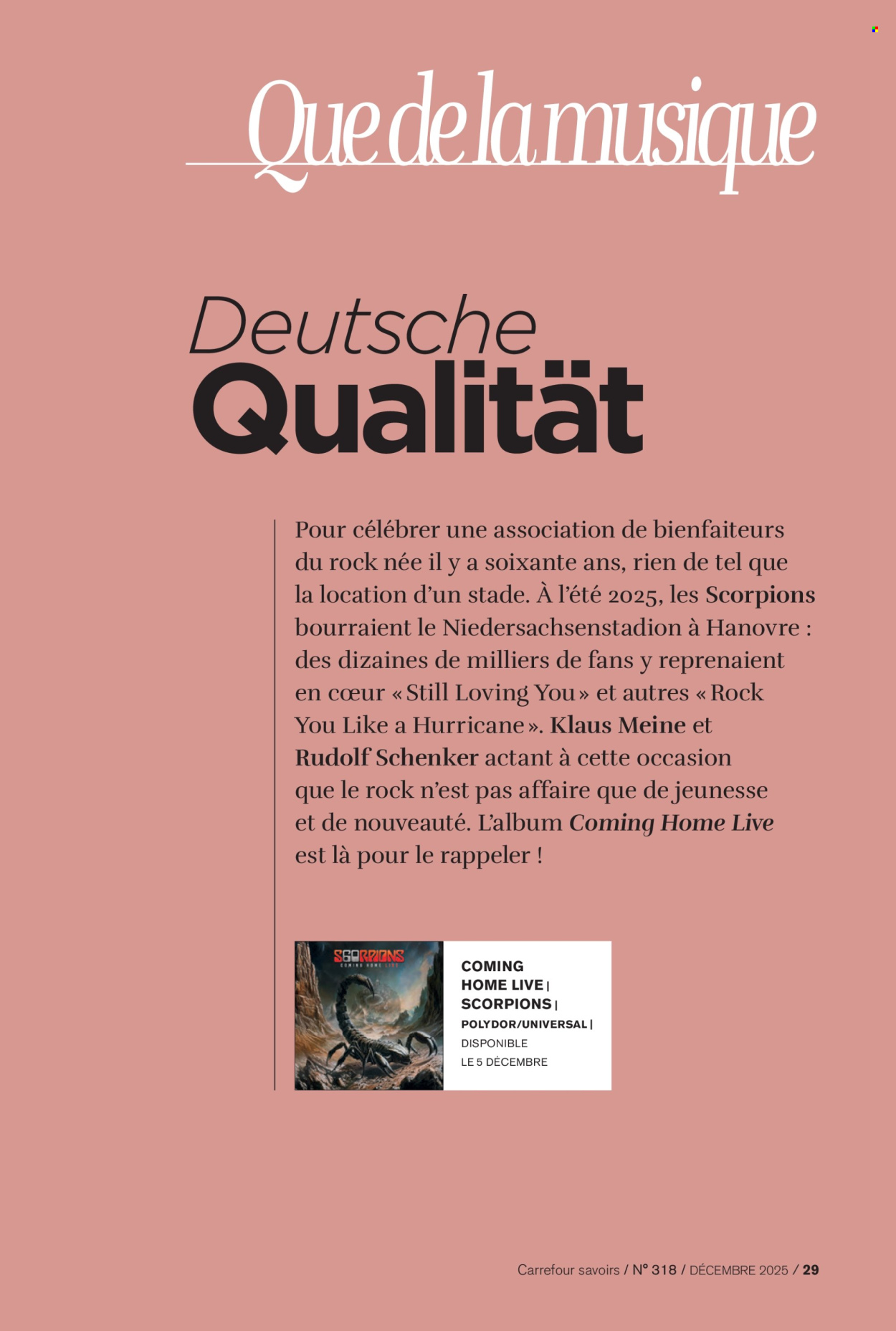 Catalogue Carrefour - 01/12/2025 - 31/12/2025. Page 29