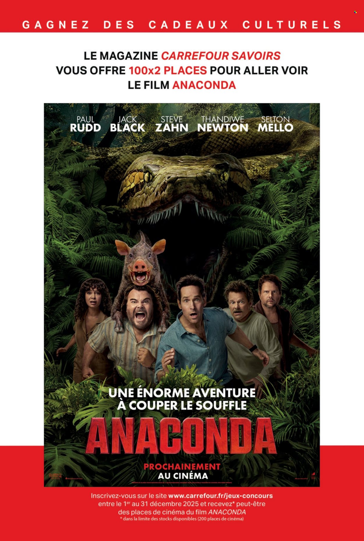 Catalogue Carrefour - 01/12/2025 - 31/12/2025. Page 43