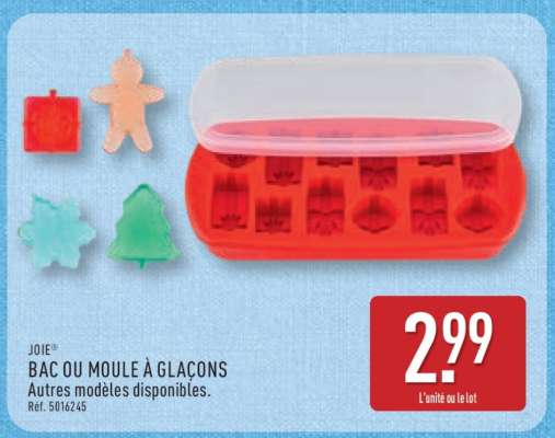 Bac ou moule à glaçons