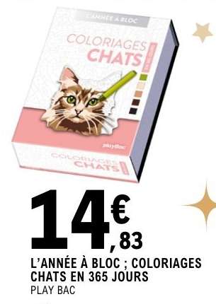 L'ANNÉE À BLOC ; COLORIAGES CHATS EN 365 JOURS