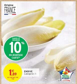 ENDIVE