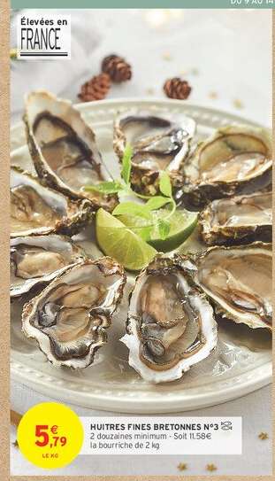HUITRES FINES BRETONNES N°3