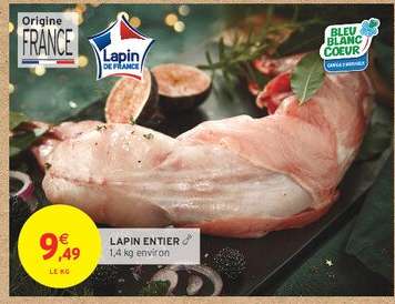 LAPIN ENTIER