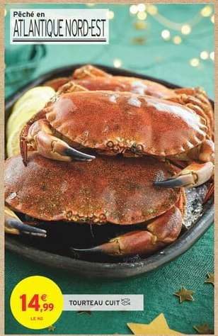 TOURTEAU CUIT