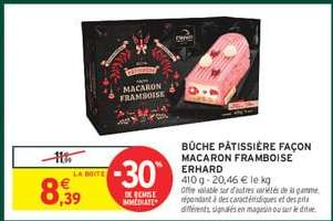 BÛCHE PÂTISSIÈRE FAÇON MACARON FRAMBOISE ERHARD
