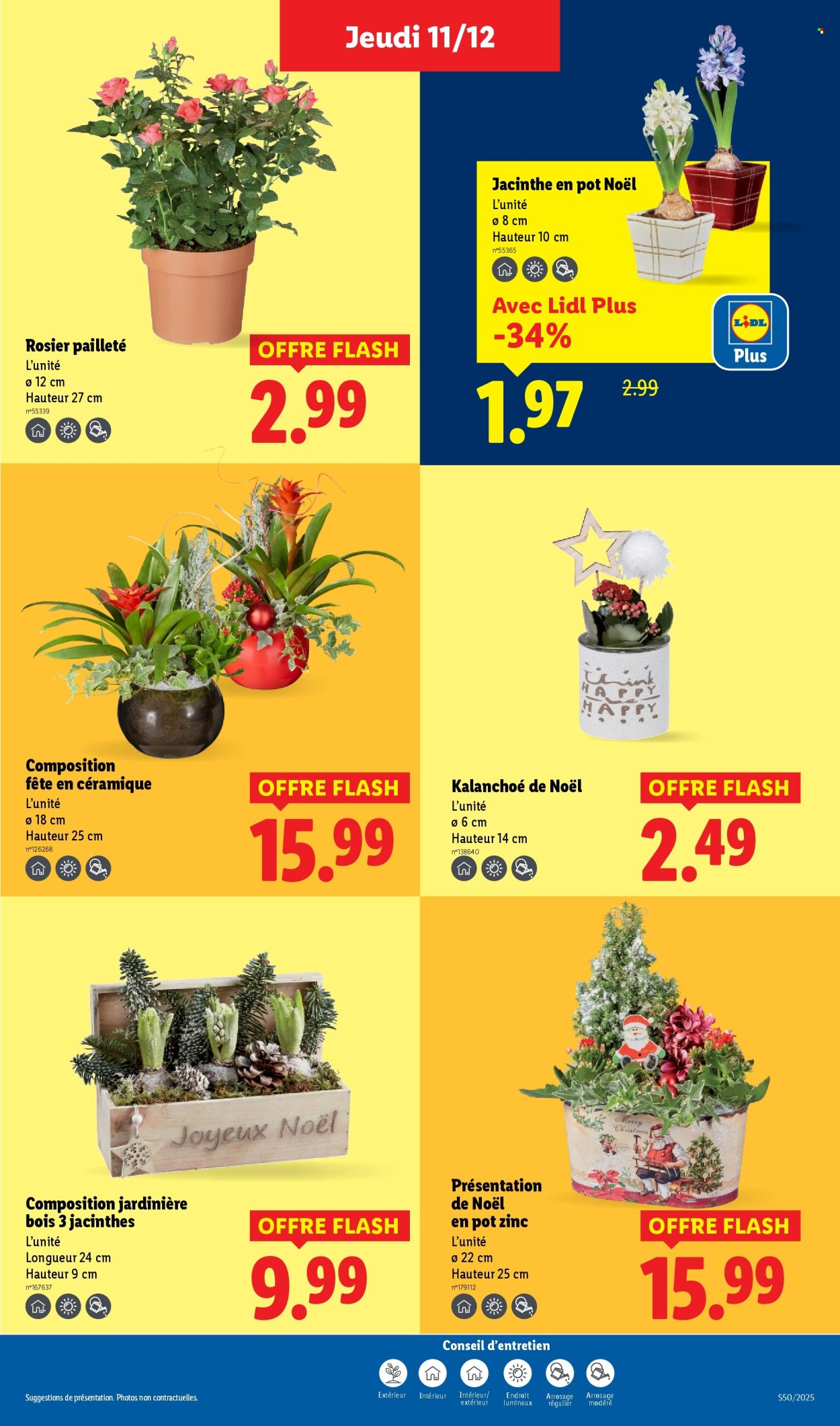 Catalogue Lidl - 11/12/2025 - 17/12/2025. Page 41