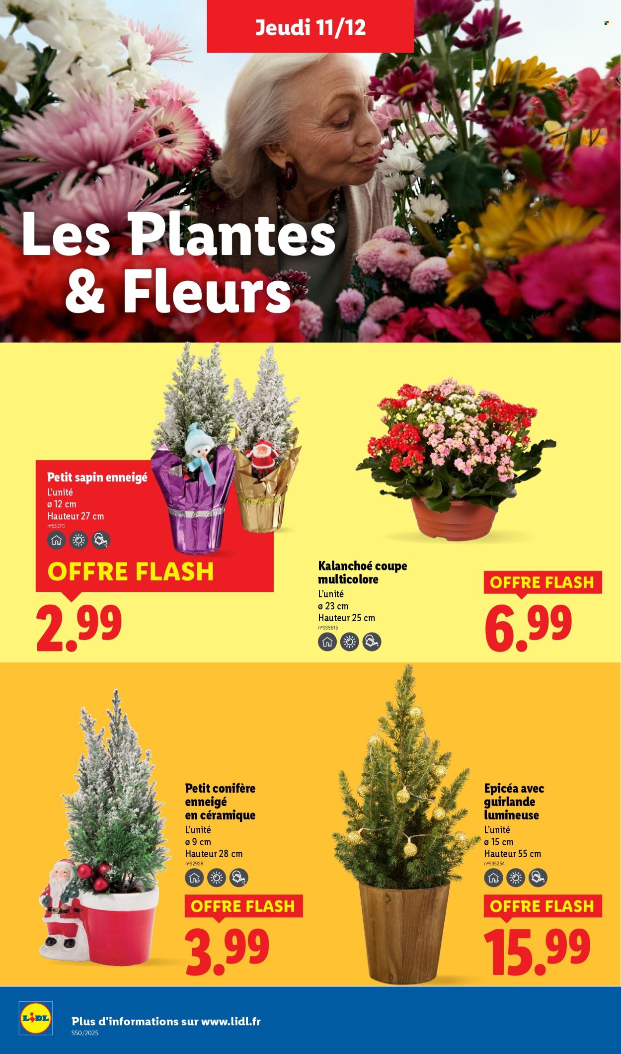 Catalogue Lidl - 11/12/2025 - 17/12/2025. Page 40