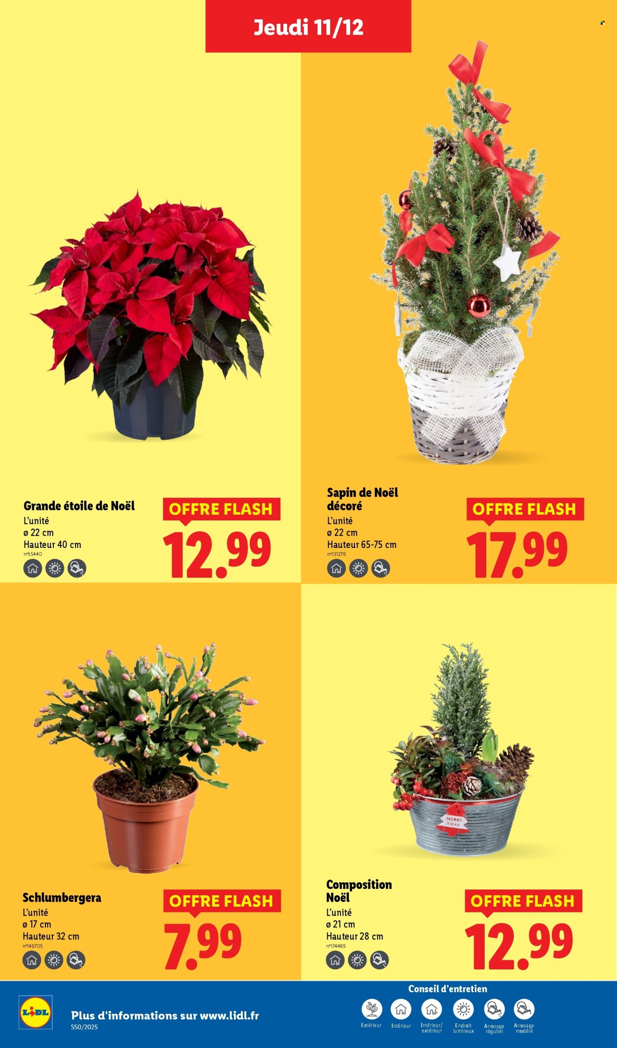 Catalogue Lidl - 11/12/2025 - 17/12/2025. Page 42