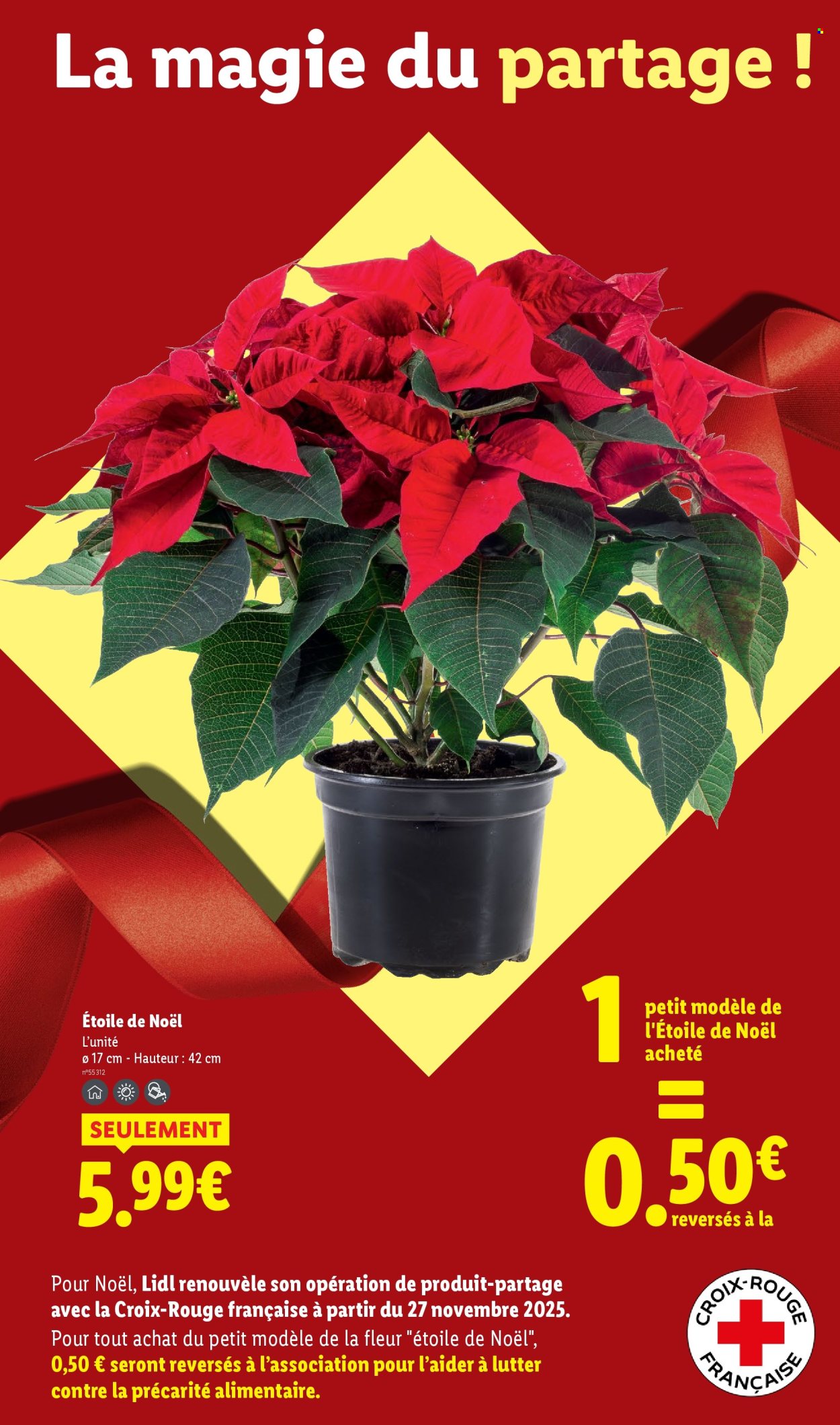 Catalogue Lidl - 11/12/2025 - 17/12/2025. Page 42