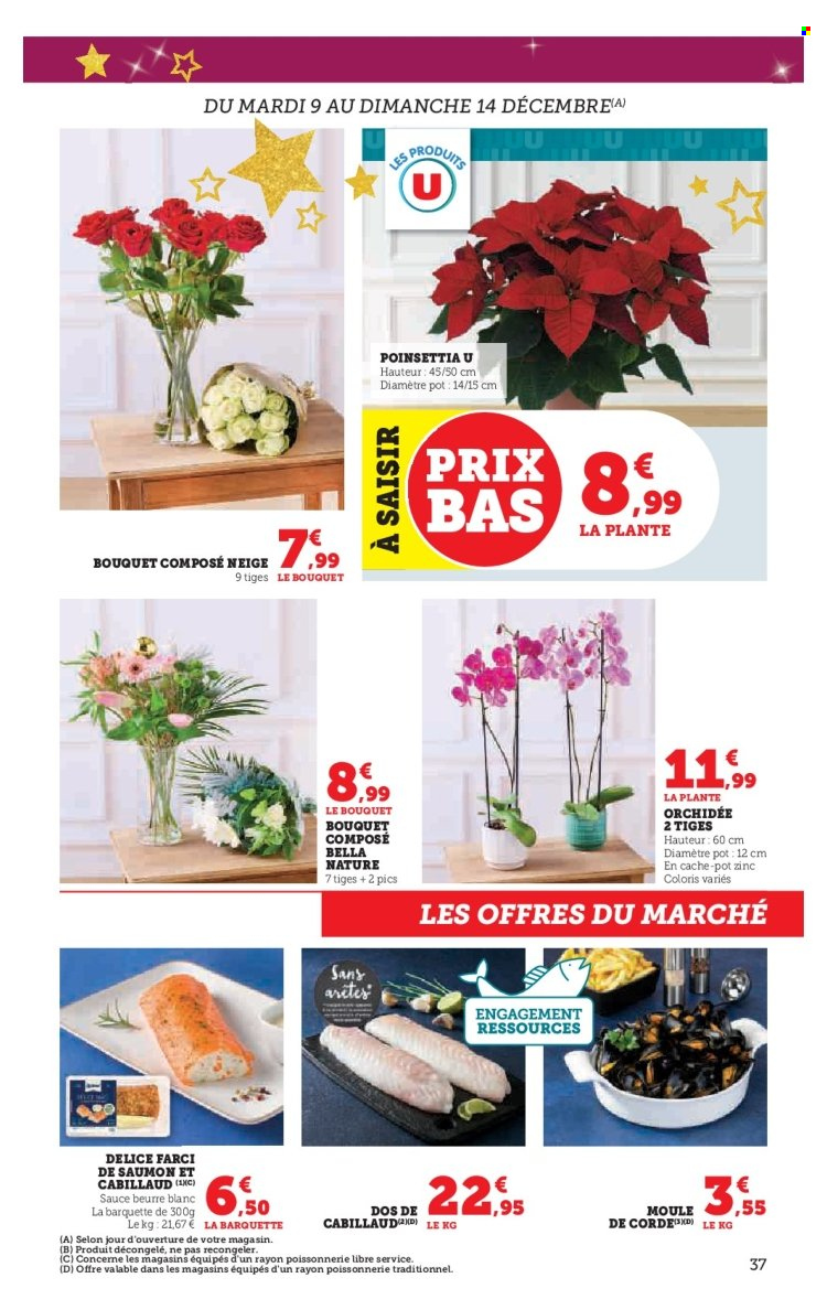 Catalogue SUPER U - 09/12/2025 - 24/12/2025. Page 37
