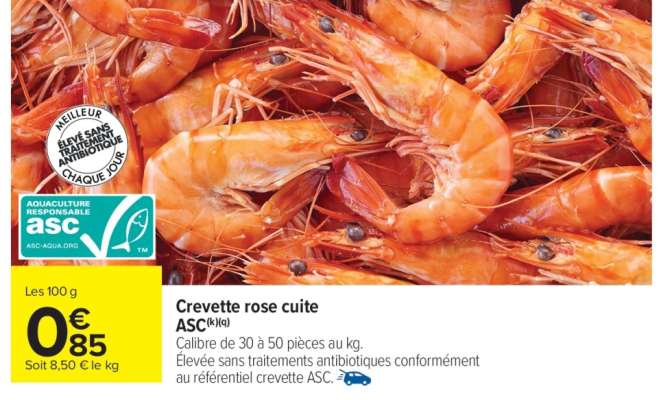 Crevette rose cuite