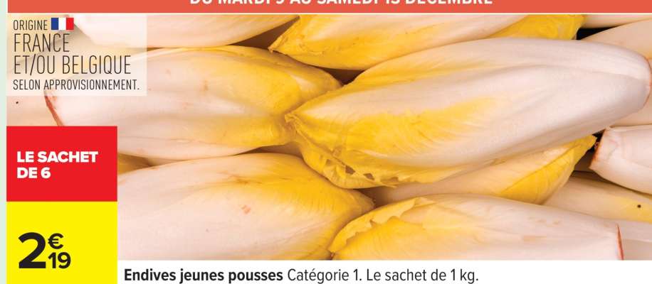 Endives Jeunes Pousses