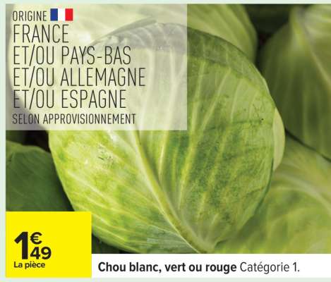 Chou blanc, vert ou rouge