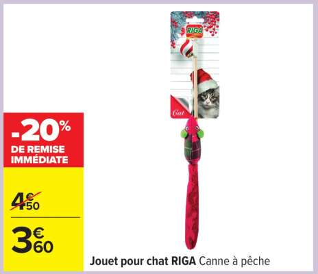 Jouet pour chat RIGA Canne à pêche