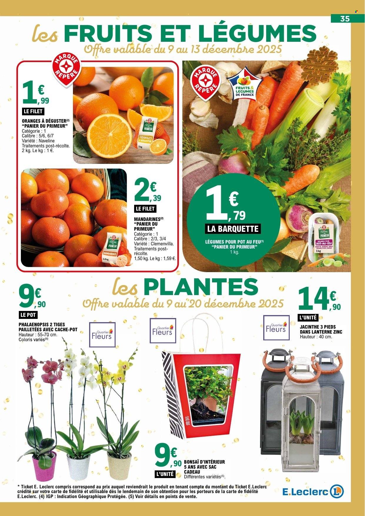 Catalogue E.Leclerc - 09/12/2025 - 20/12/2025. Page 35
