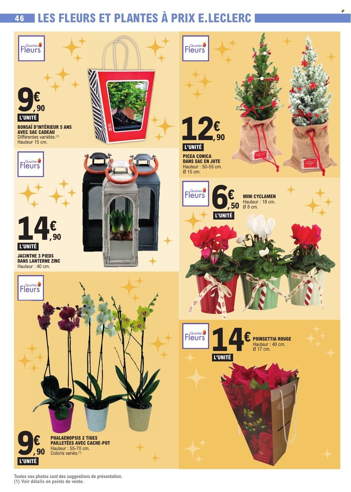 Catalogue E.Leclerc - 09/12/2025 - 20/12/2025. Page 46