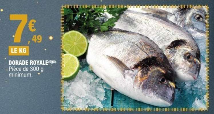 DORADE ROYALE