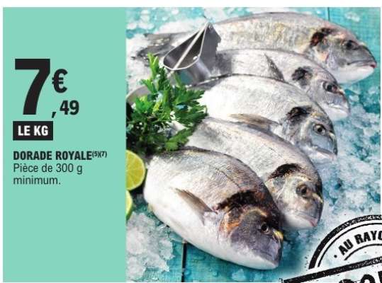 DORADE ROYALE