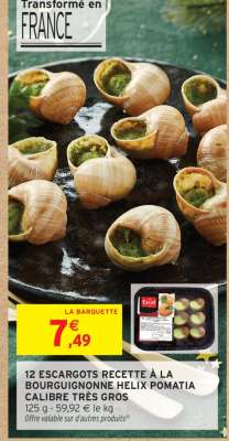 12 ESCARGOTS RECETTE À LA BOURGUIGNONNE HELIX POMATIA CALIBRE TRÈS GROS