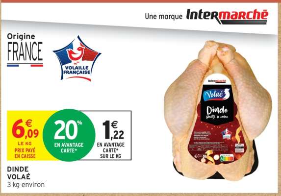 DINDE VOLAILLE