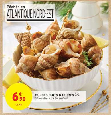 BULOTS CUITS NATURES