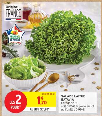SALADE LAITUE BATAVIA
