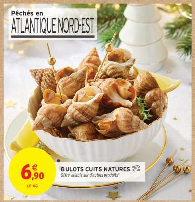 BULOTS CUITS NATURES