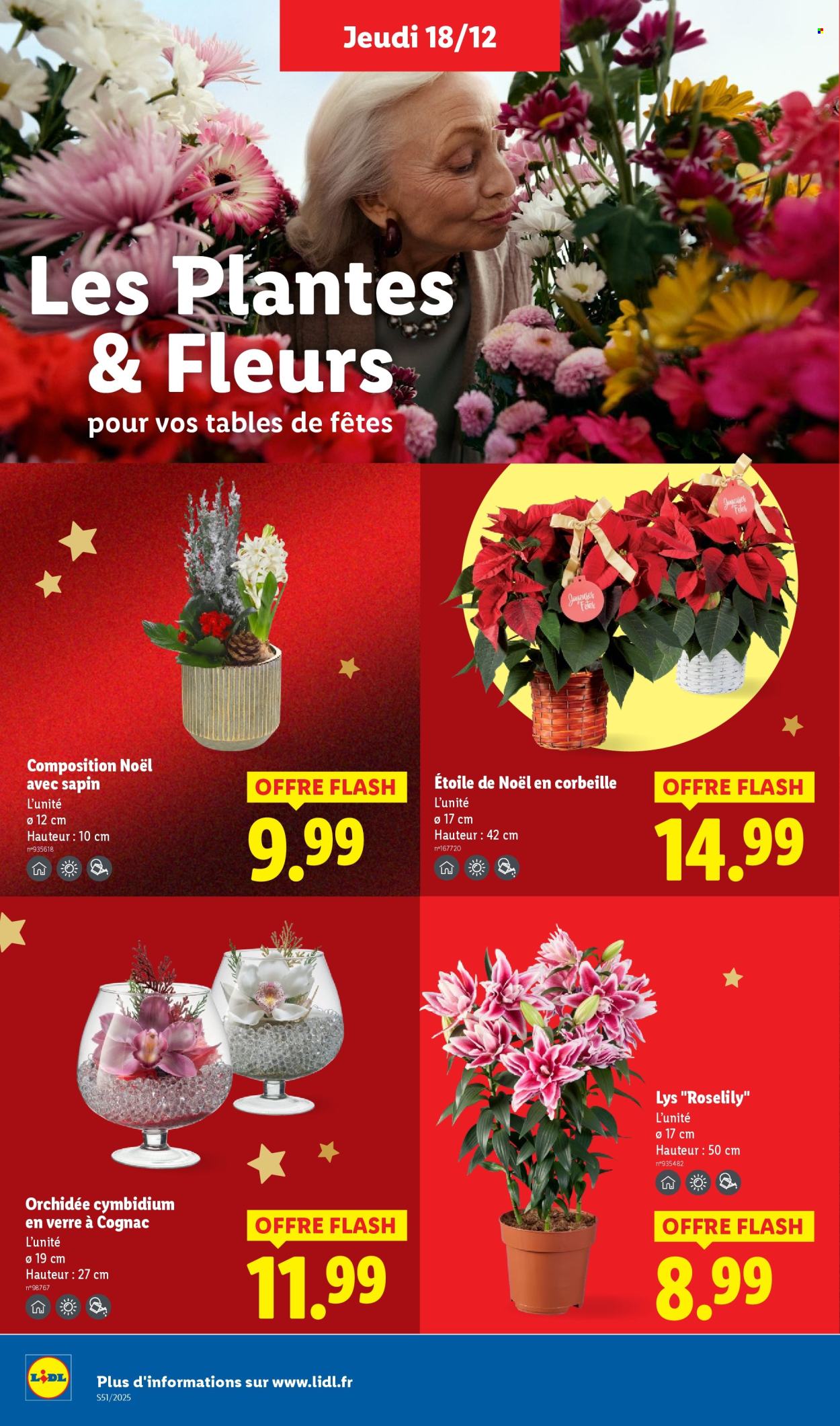 Catalogue Lidl - 18/12/2025 - 26/12/2025. Page 36