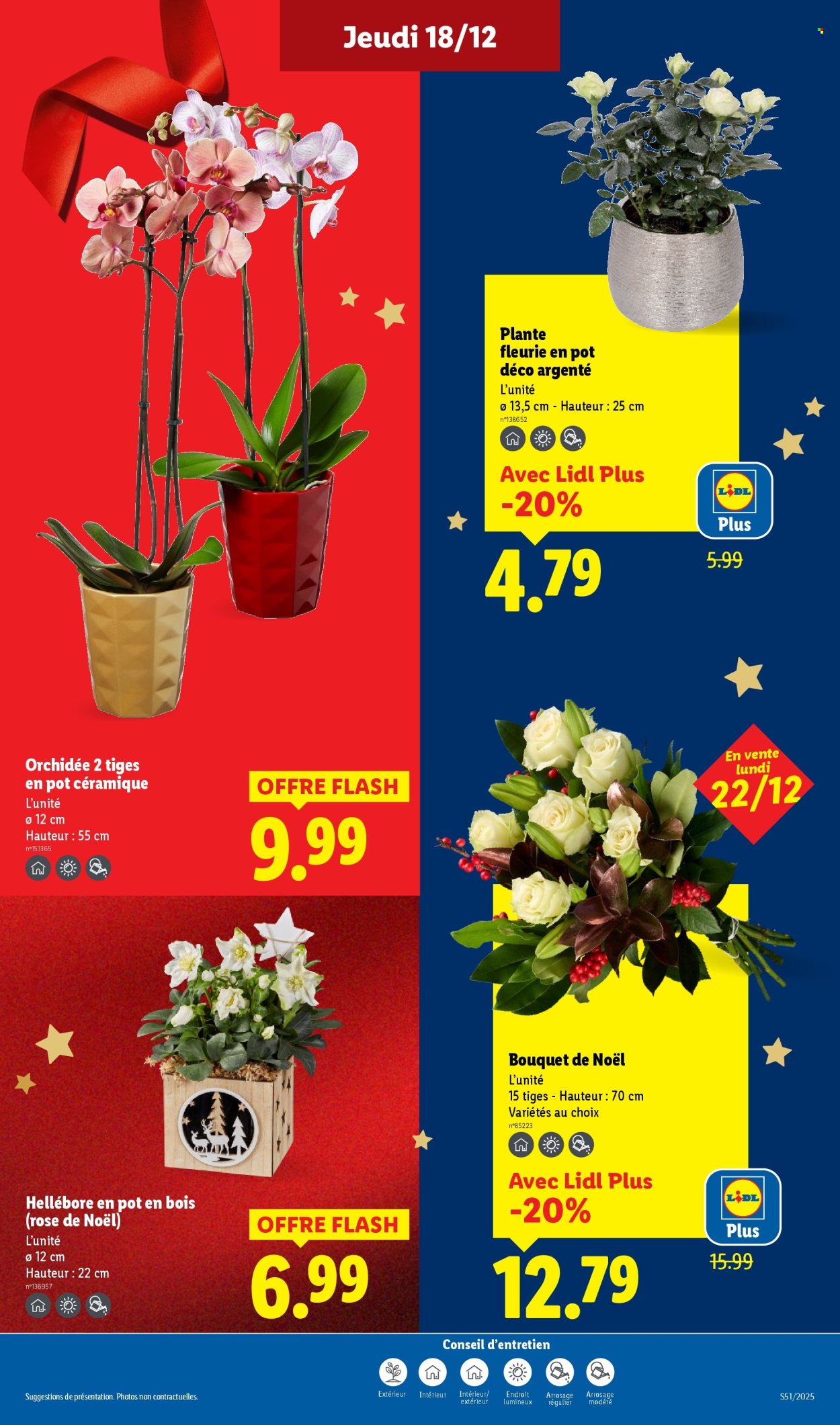 Catalogue Lidl - 18/12/2025 - 26/12/2025. Page 37