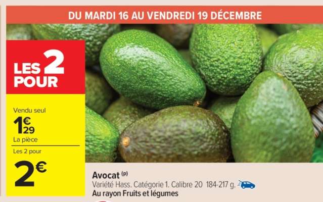 Avocat