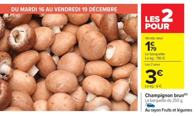 CHAMPIGNON BRUN