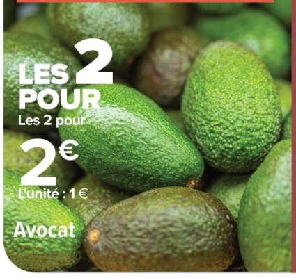 Avocat
