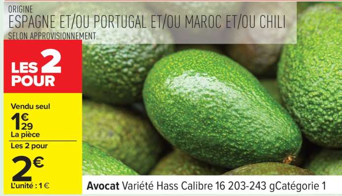 Avocat