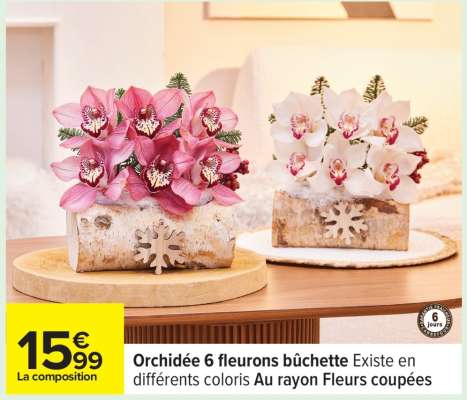 Orchidée 6 fleurons bûchette
