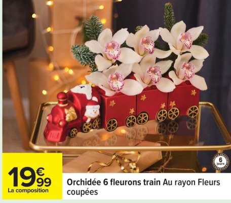 Orchidée 6 fleurons train