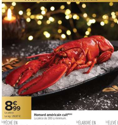 Homard americain cuit