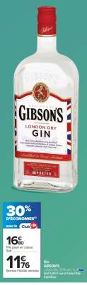 Gin Gibson's*