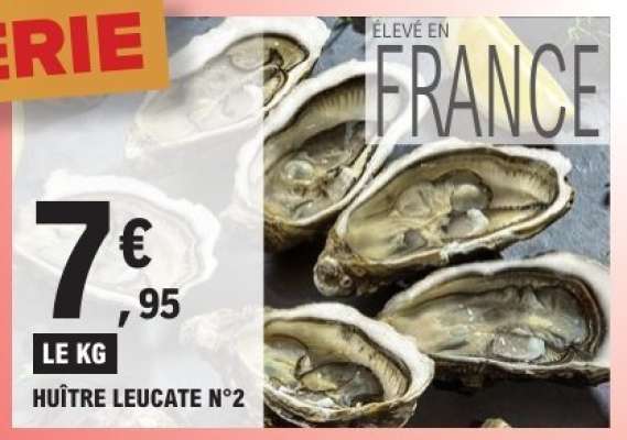 HUÎTRE LEUCATE N°2