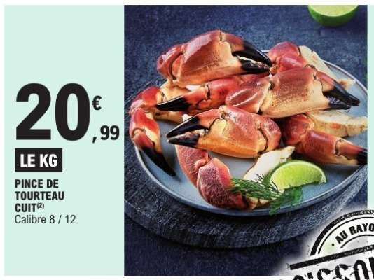 Pince de Tourteau Cuit