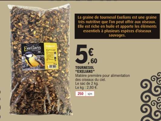 TOURNESOL 'EXELIANS'