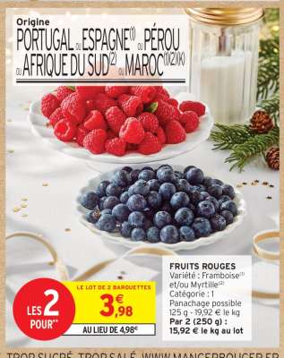 FRUITS ROUGES