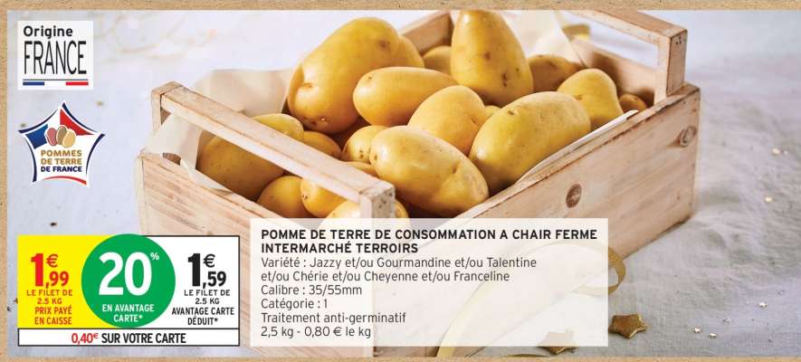 POMME DE TERRE DE CONSOMMATION À CHAIR FERME